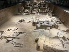 -洛阳周王城天子驾六博物馆