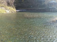 -凤凰山国家森林公园
