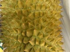 榴莲-鲜力达果品批发直销(无锡保利香槟店)