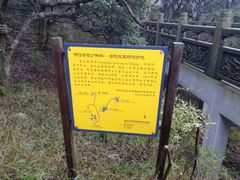 -普陀山风景区-佛顶山