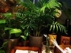 -CoffeeVendor(西乡店)
