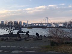 -台场海滨公园船码头