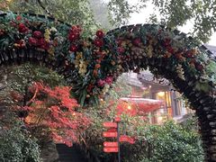 -巴倒烫陆派重庆火锅(南山店)