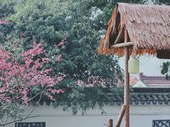 -无锡梅园公园