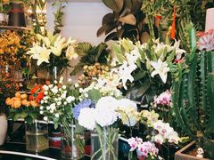 -静岸花卉园艺(三星坊店)