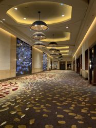 -上海万豪虹桥大酒店·宴会厅