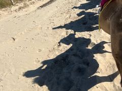 -库伦旗银沙湾旅游景区