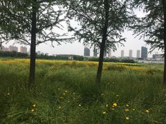 -尚贤河湿地