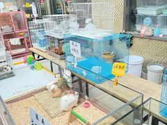 -武汉花鸟市场