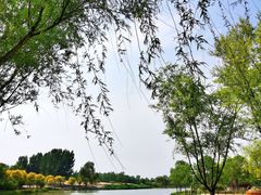 -东郊湿地公园