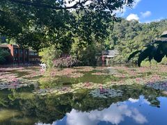 -野象谷景区