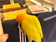 -吾叁·吉趣鸟咖(万科店)