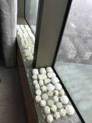 -大美母婴月子专护中心(紫峰店)