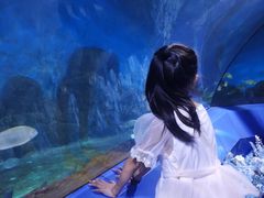 -重庆欢乐海底世界