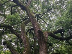 -浙江大学(玉泉校区)