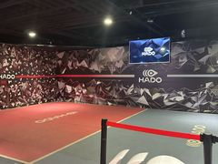 -VS SPORTS PARK运动玩乐园·团建·生日会(合生汇店)