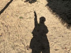 -合肥滨湖国家森林公园