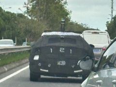 -春花秋色城市公园