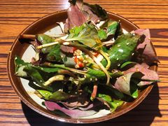 折耳根-丁叮小排档·八道江湖菜·团建聚餐(车公庙店)