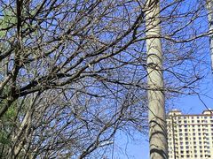 -成寿寺(地铁站)