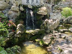 -上海醉白池公园