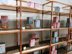 -奈雪的茶(石家庄万象城店)