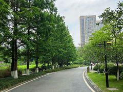-沐仙湖湿地公园