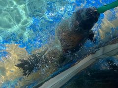 -太平洋海底世界