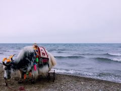 -青海湖国家重点风景名胜区