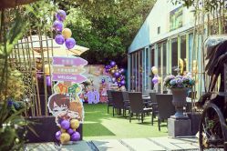 -派对猴生日派对策划