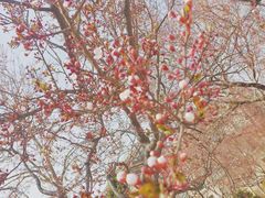 -山东师范大学(千佛山校区)