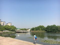 -新江湾城公园