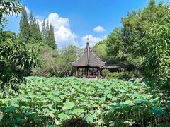 -上海醉白池公园