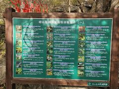-崂山巨峰游览区