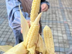 -西双版纳集贸市场