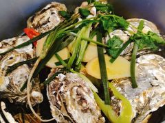 -千岛蚝高压锅生蚝·人参火锅(白云万达店)