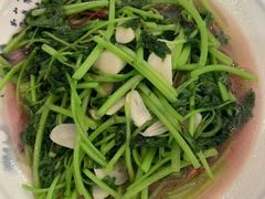 -浦江悦(陆家嘴保利广场店)