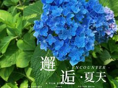 -陶然亭公园