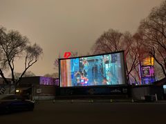 -枫花园汽车电影院(朝阳公园店)