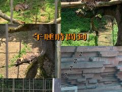 -宁波野生动物园