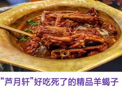 -芦月轩羊蝎子(北蜂窝店)