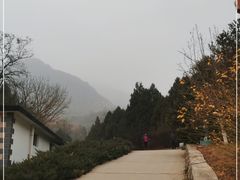 -北京鹫峰国家森林公园