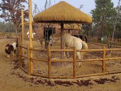 -茅山东方盐湖城景区