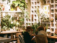 -自由生长植物工作室(深港花卉中心店)