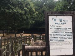 -南昌动物园