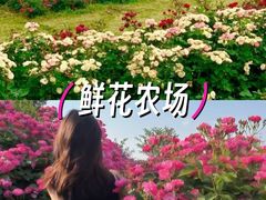 -栖露营camping·天幕烧烤·团建拓展·采摘营地