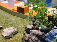 -森味薪火烧•烧鸟居酒屋•日本料理(望京店)