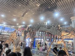 -国家自然博物馆