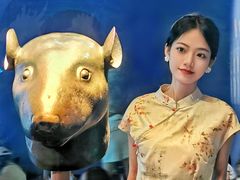 -广西壮族自治区博物馆