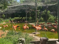 -石家庄市动物园